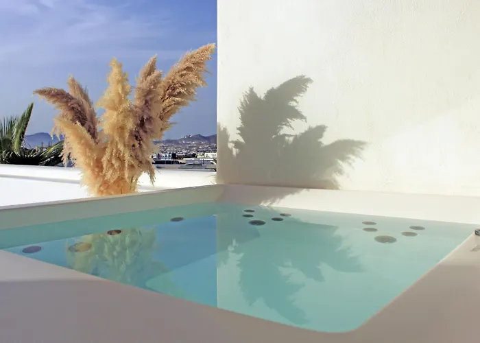 Отель Adama Mykonos Boutique 4*